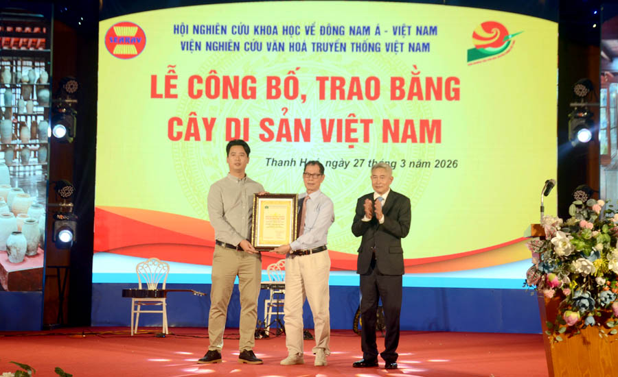 C&acirc;y[-]Nhội[-]&ldquo;Linh[-]Kỳ[-]Mộc&rdquo;[-]ở[-]Thanh[-]H&oacute;a[-]được[-]c&ocirc;ng[-]nhận[-]C&acirc;y[-]Di[-]sản[-]Việt[-]Nam